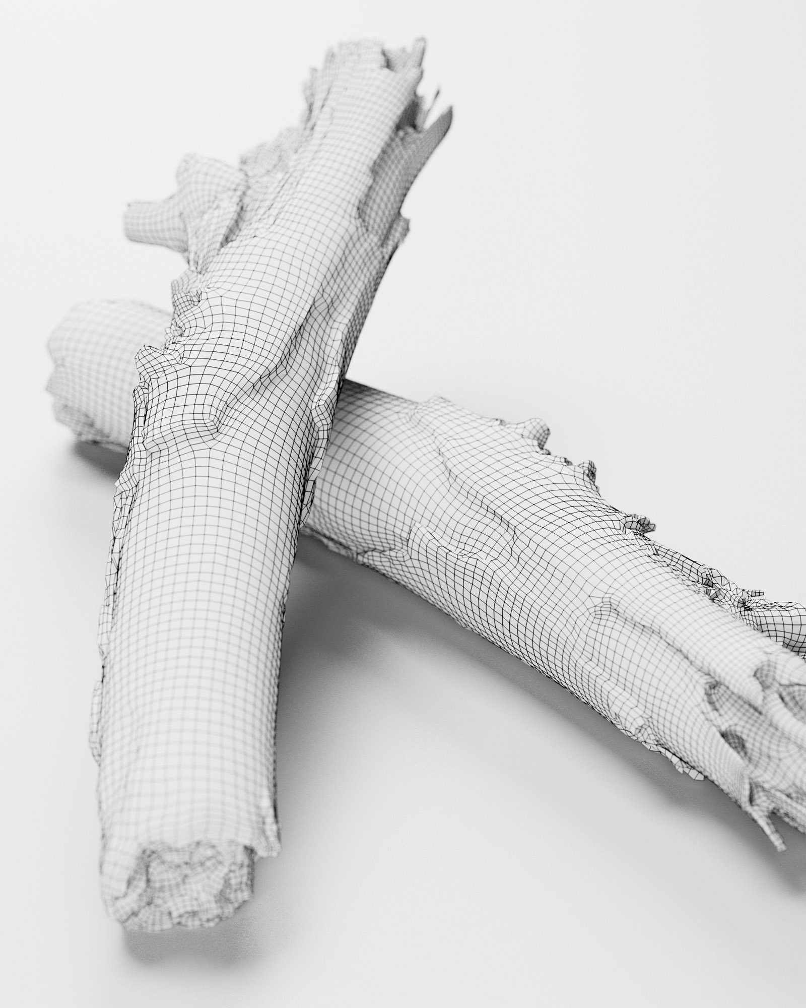 Wooden Stick 01 - 3D Scan product image (2)
