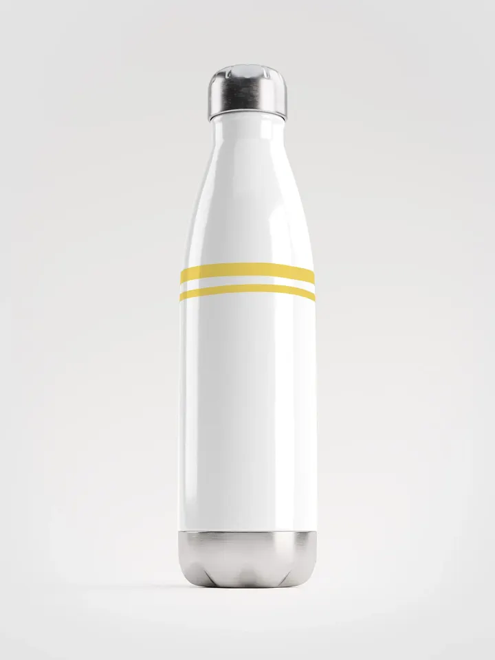 Stainless Steel Water Bottle product image (1)