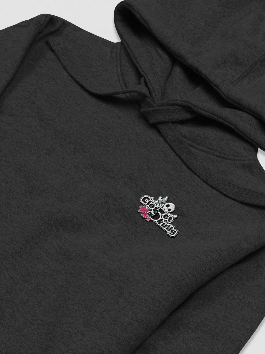 Skully Hoodie : Embroided Closetskully logo product image (3)