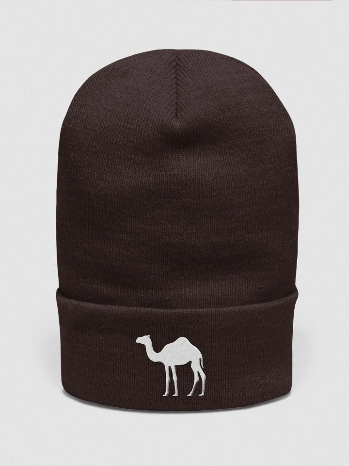 CAMEL Beanie product image (2)