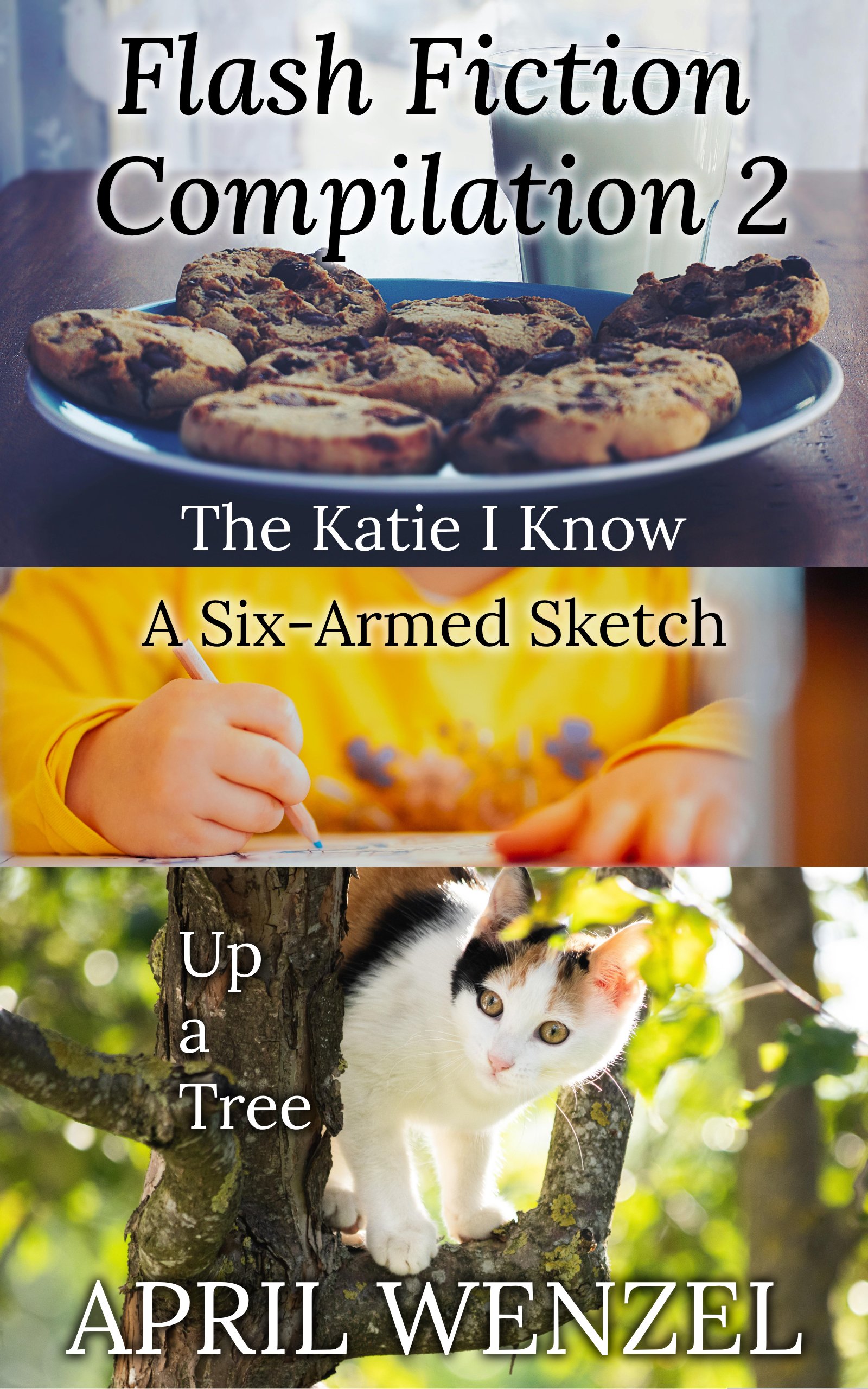Flash Fiction Compilation 2: (eBook) product image (1)