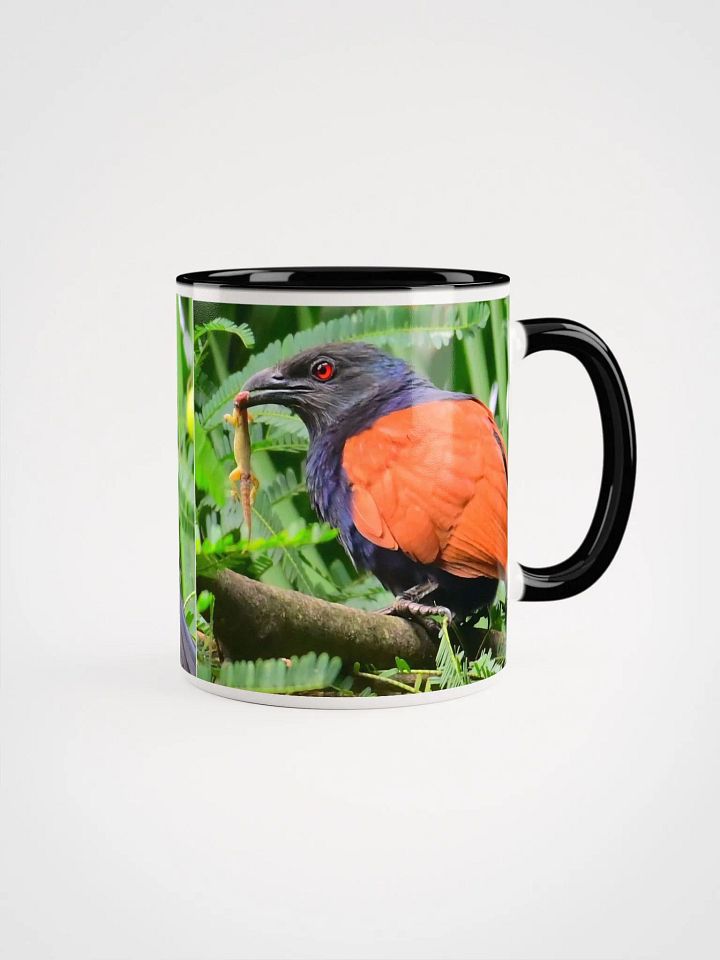 IUCAA Birds MUG product image (3)