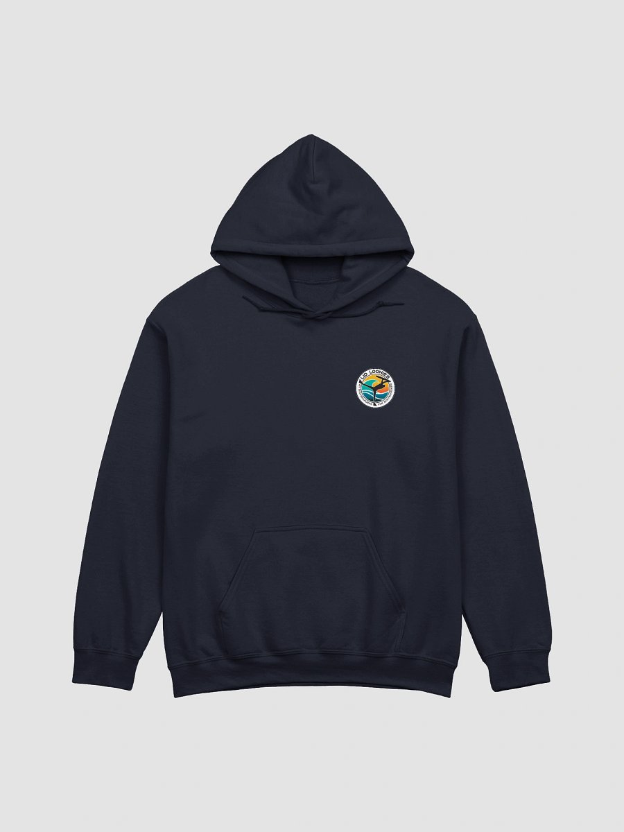Lid Loonies Invert Hoodie product image (3)