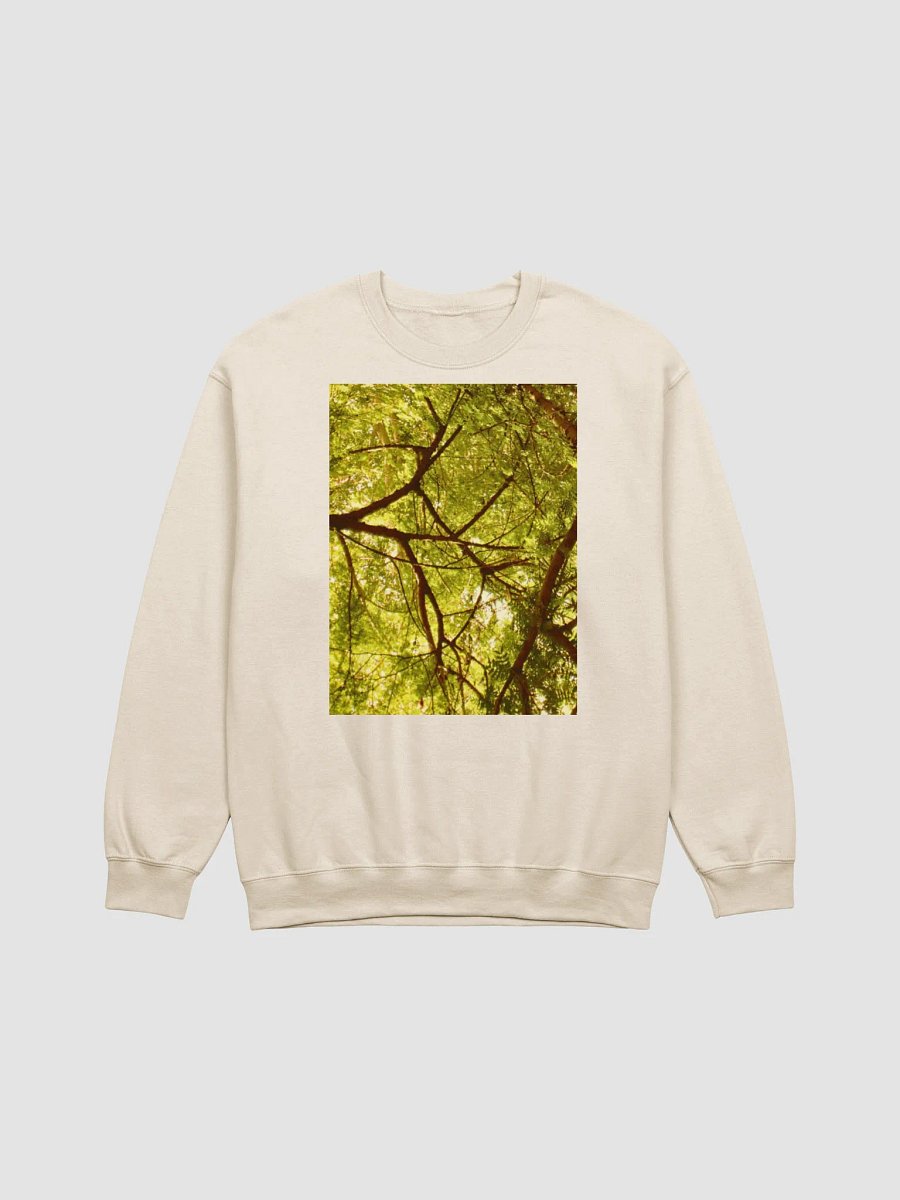 EARTH TONE BEIGE SWEATSHIRT product image (1)