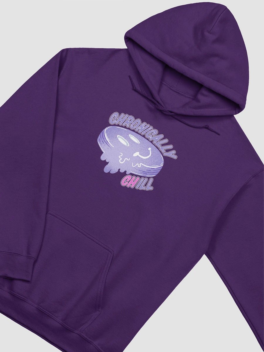 Chronically Chill Hoodie product image (4)