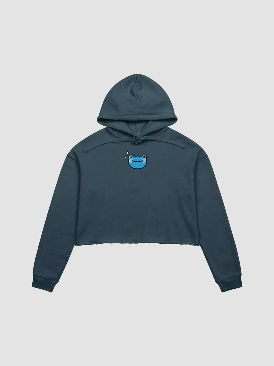 Wink Froge Crop Hoodie product image (2)