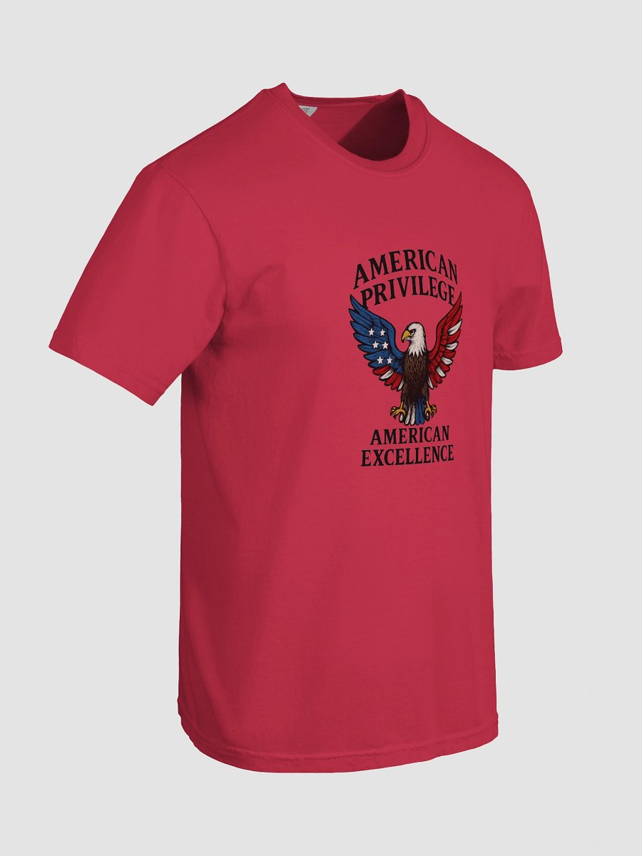 American Pride Eagle T-Shirt product image (22)