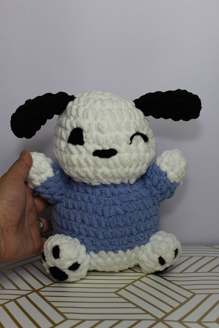 Pocchaco product image (1)