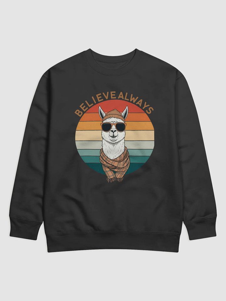 Believe Always Llama Cozy Sweatshirt product image (1)