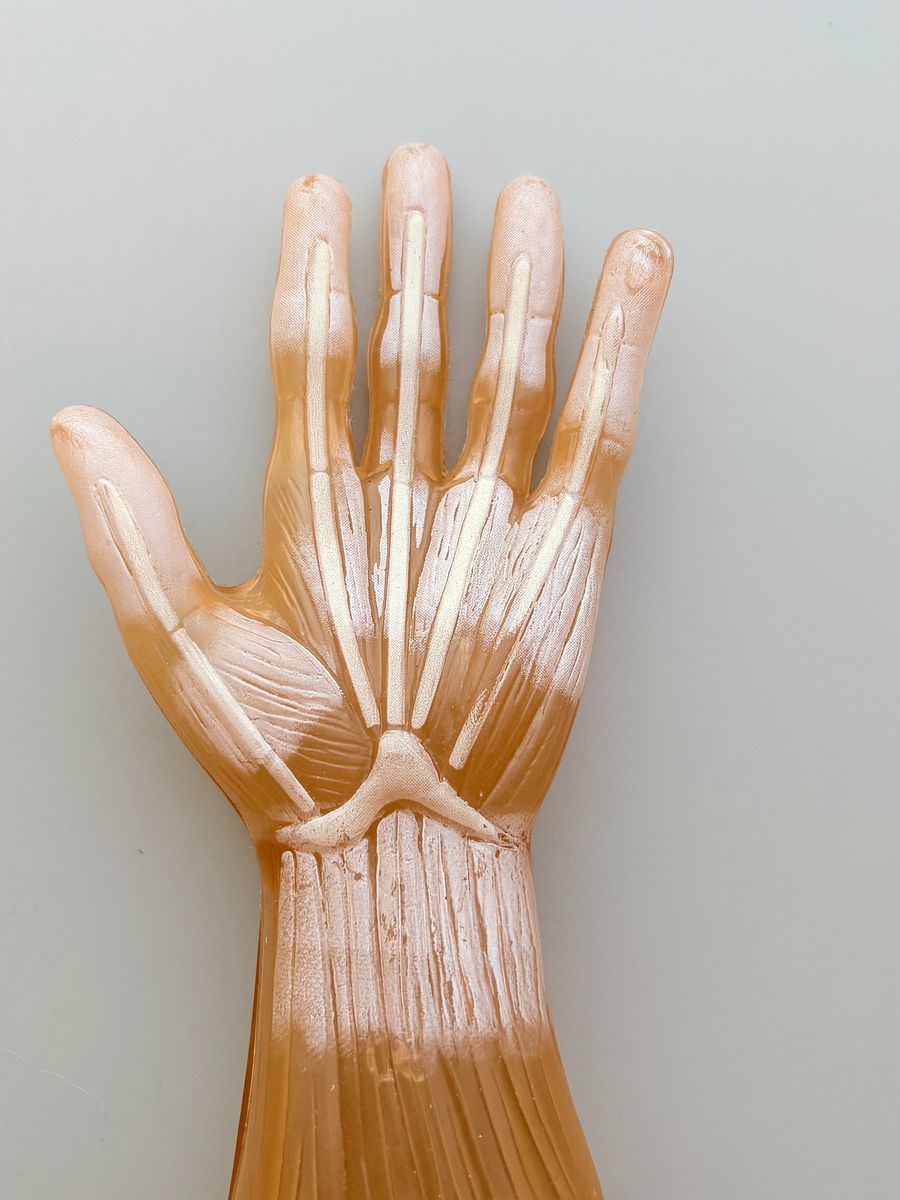 Plastic model arm vintage product image (4)