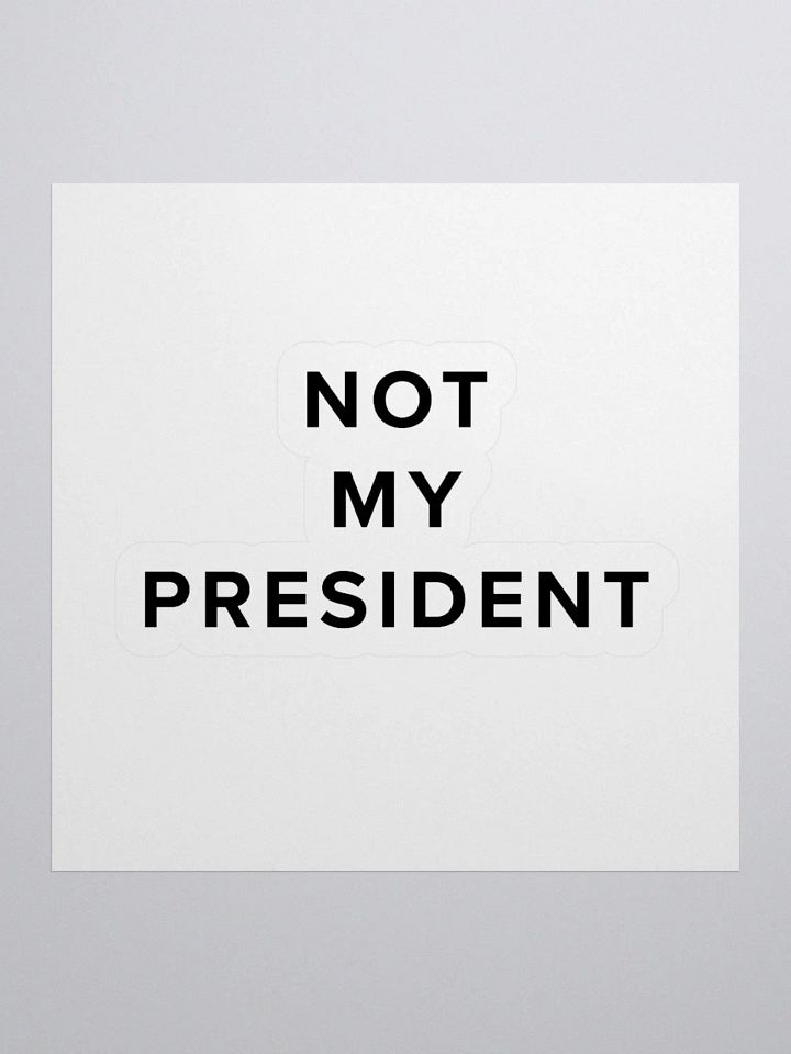 Not My President Vinyl Stickers product image (1)