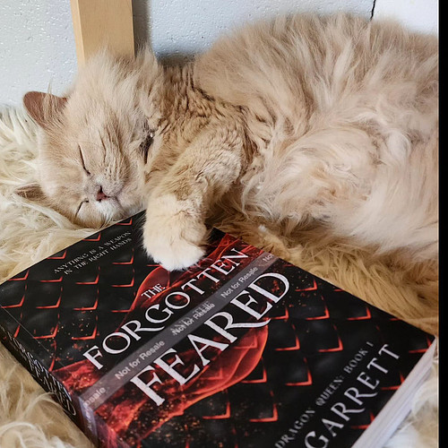 It's official: The Forgotten and The Feared is kitty approved! 4 paws! 🐾🐾

PRE-ORDER NOW LIVE! I’m adding more of Special Edi...