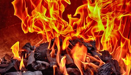 Wildfire