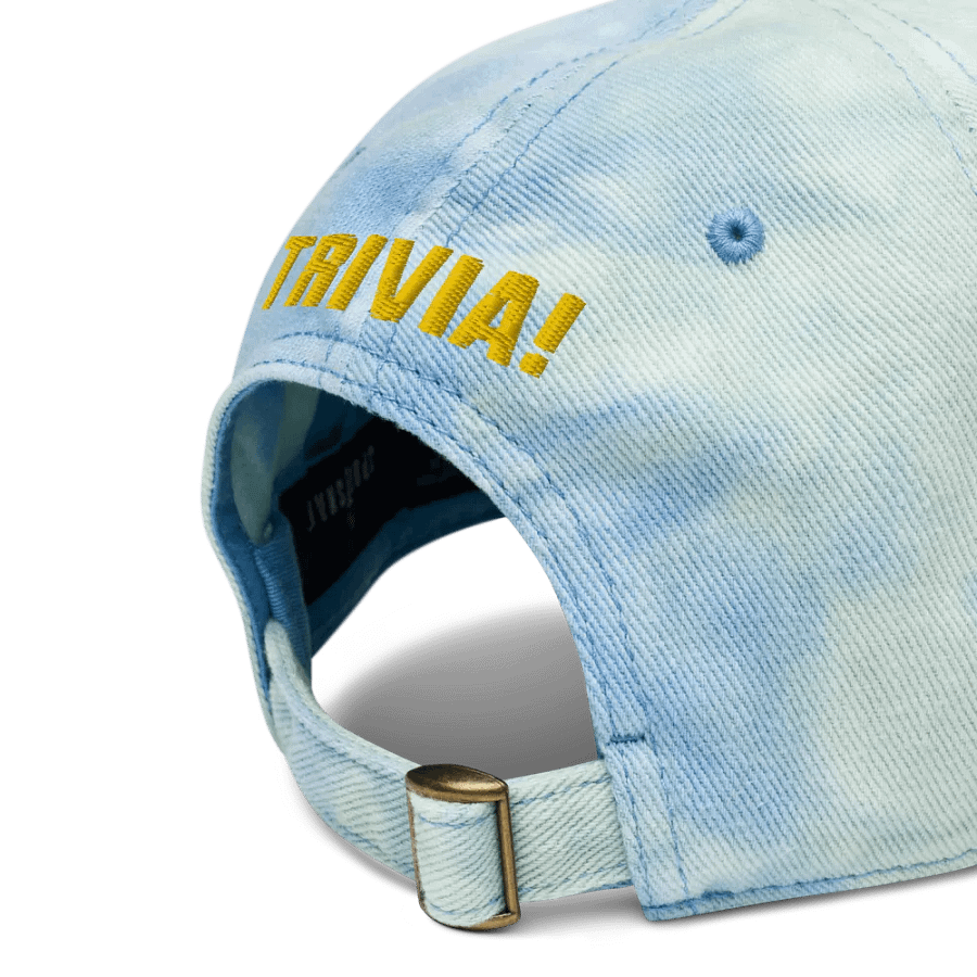 Tie Dye Bus One Trivia Hat product image (5)