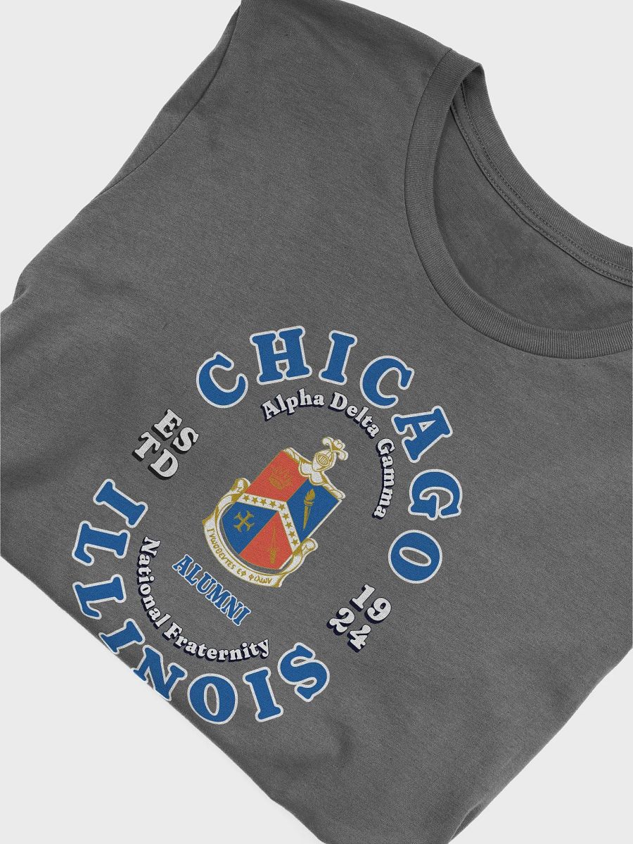 Chicago Alumni - T-Shirt product image (3)