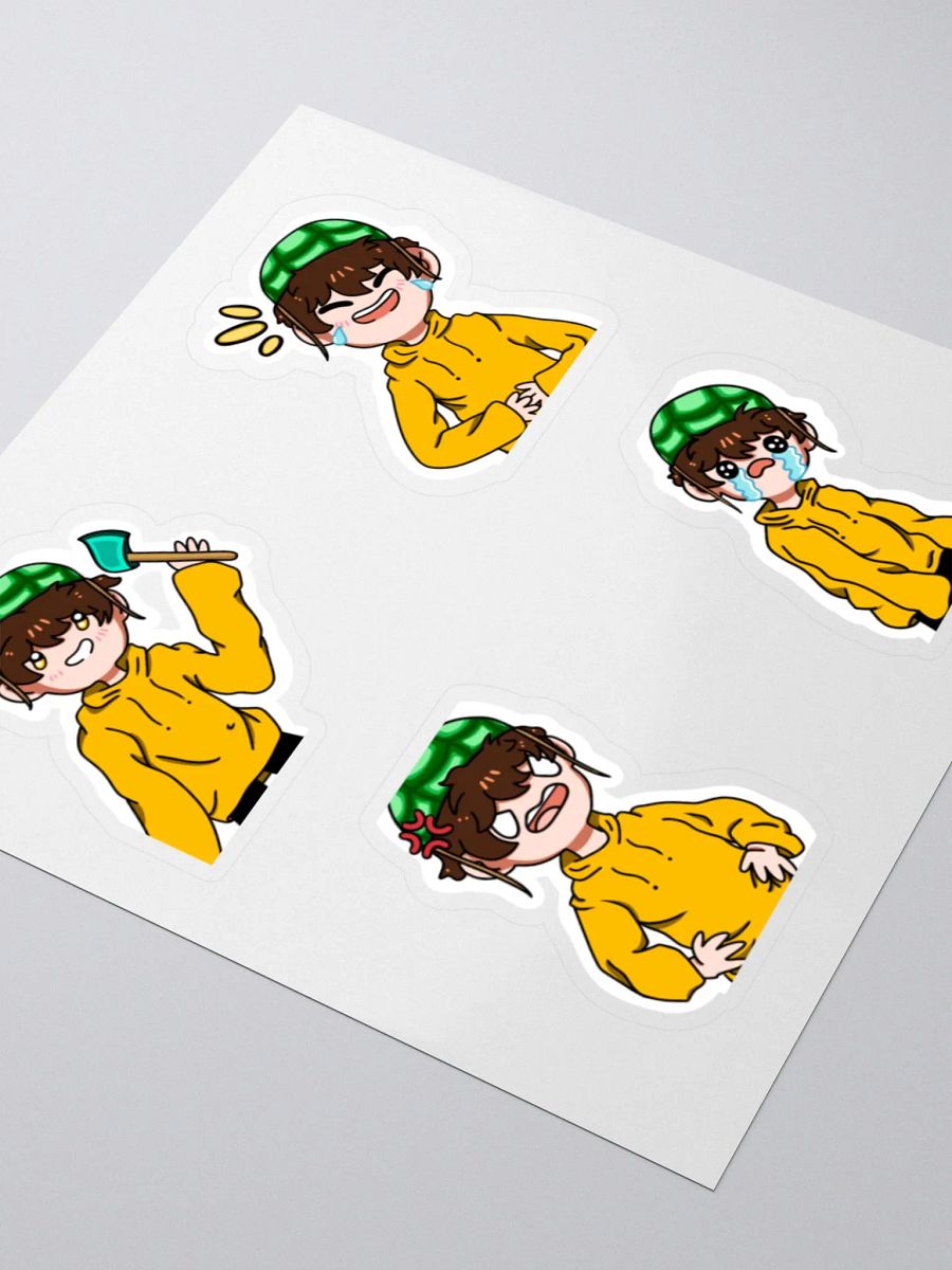 CLASSIC SALTYY STICKER PACK product image (9)