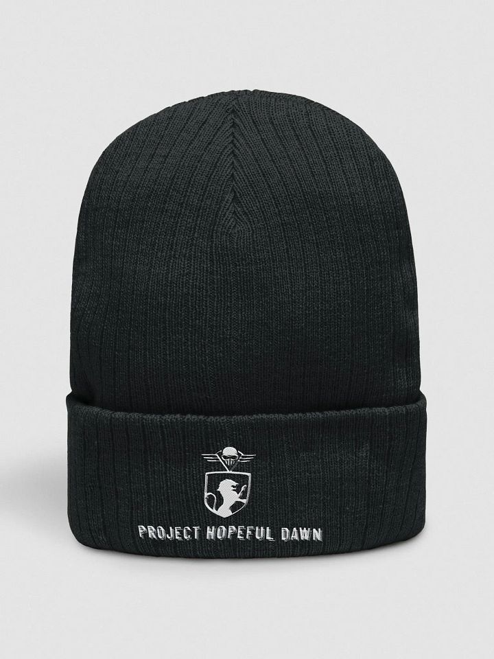 Hopeful Dawn Crowned Beanie GEN II product image (1)