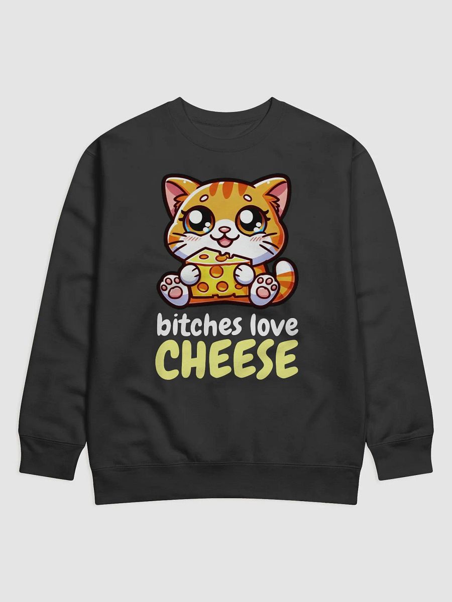 Whiskered Cheese Lover Sweatshirt product image (1)
