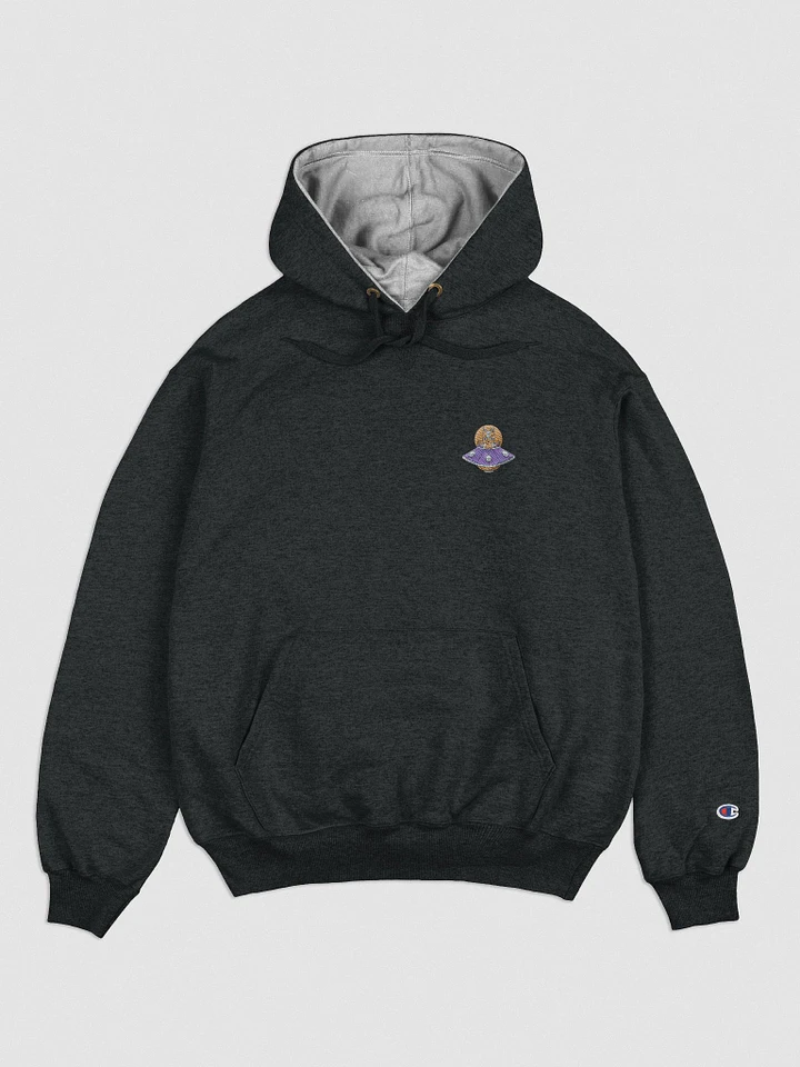 Harrison Embroidered CHAMPION Hoodie product image (1)