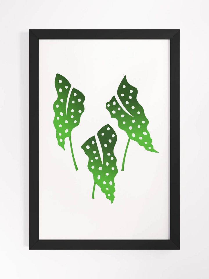 Polka Dotb Begonia Leaves product image (2)