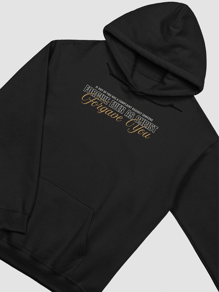 Colossians 3:13 Scripture Hoodie product image (2)
