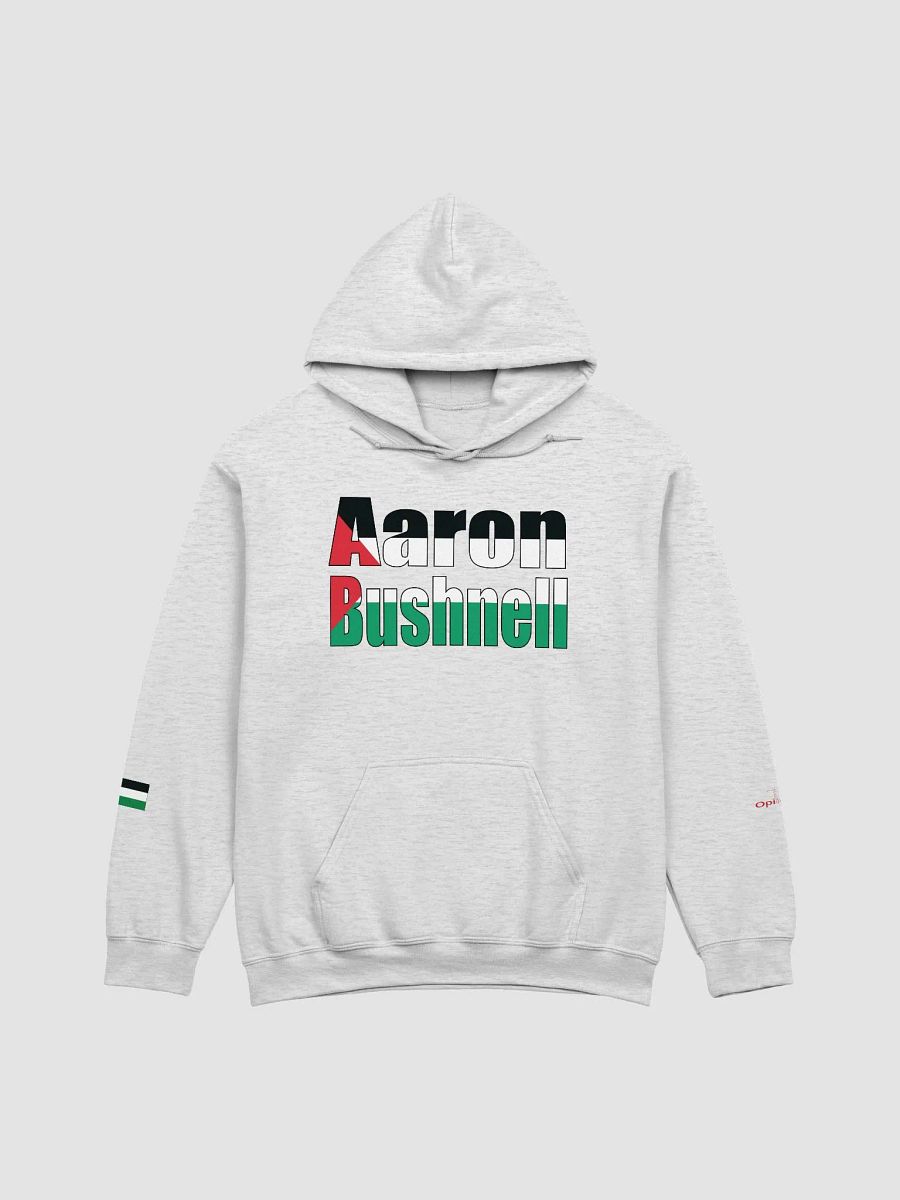 Aaron Bushnell - Palestine - Gildan Classic Hoodie product image (1)