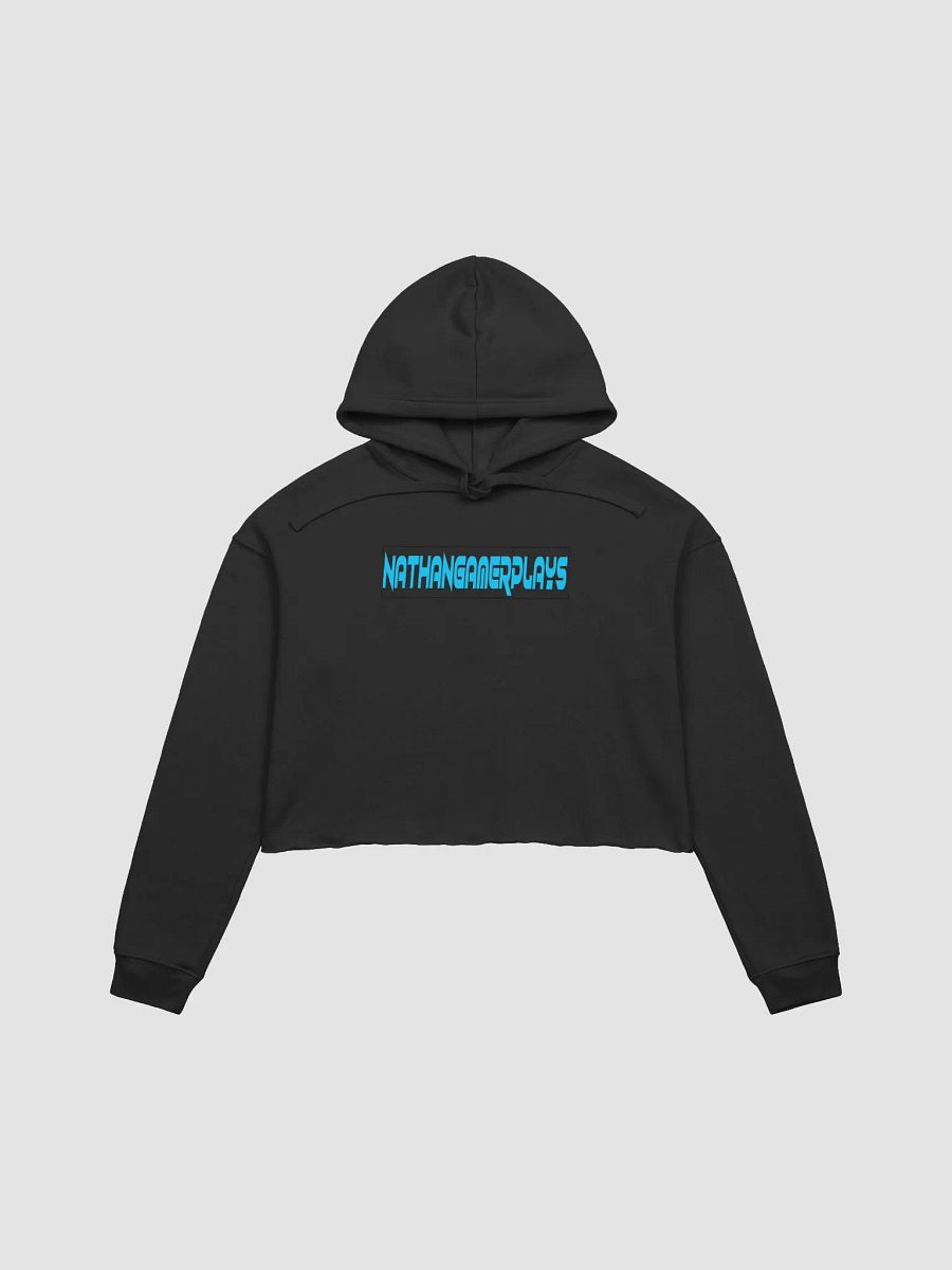 NathanGamerplays Hoodie product image (3)