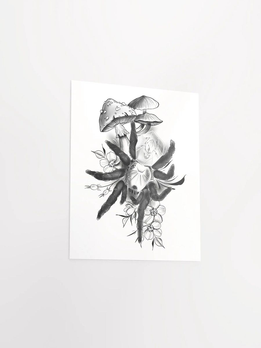 Brachypelma albiceps and Crystal Frog Poster product image (8)