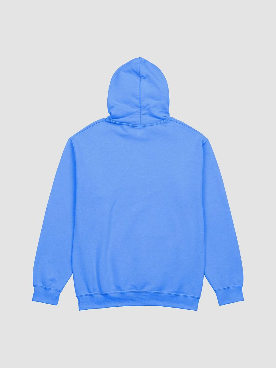 Compassion Connection Hoodie product image (28)