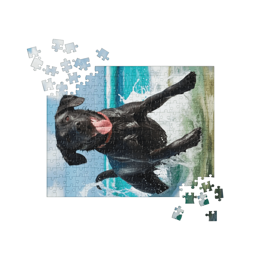 Jetty’s Adventures product image (5)