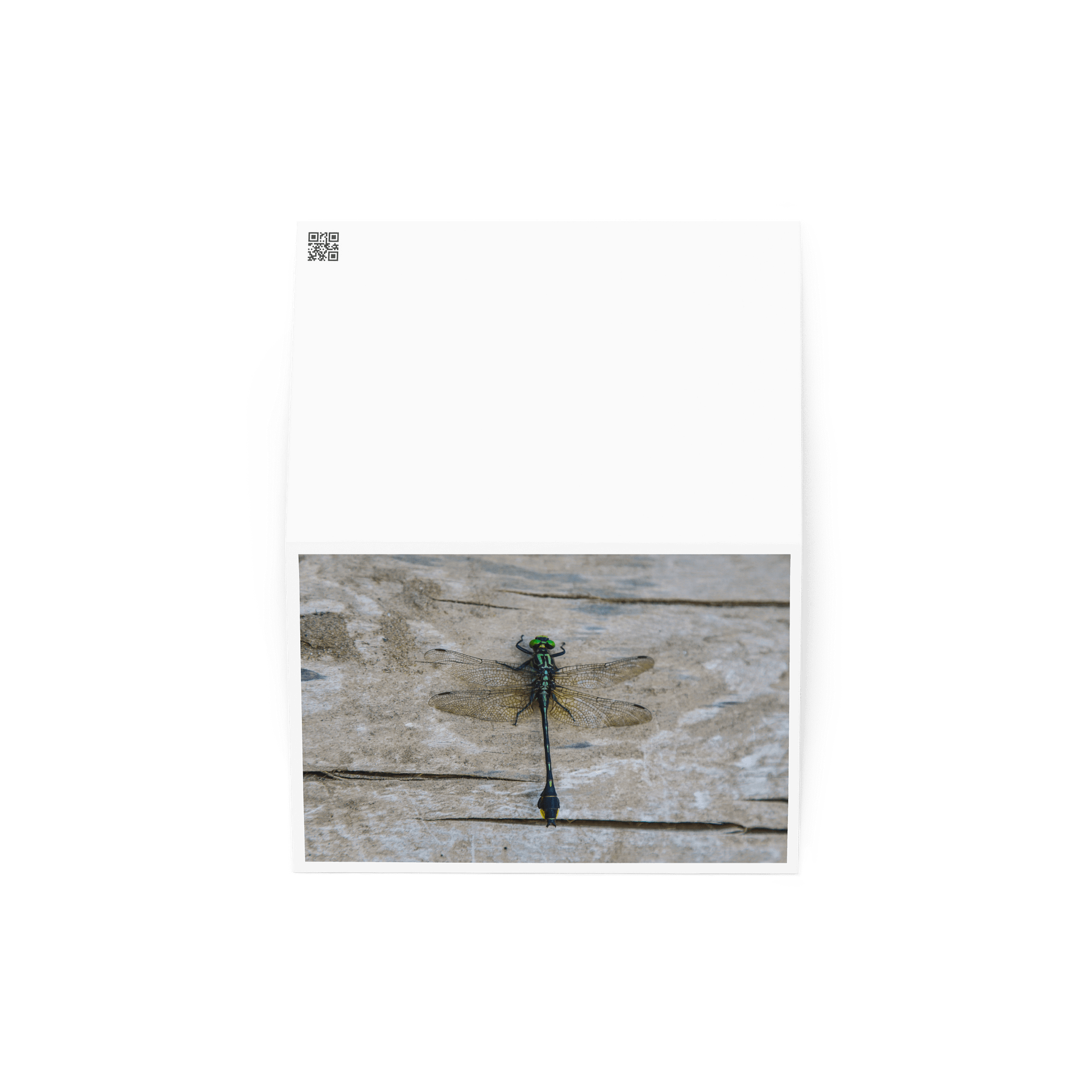 Dragonfly - Greeting Card product image (2)