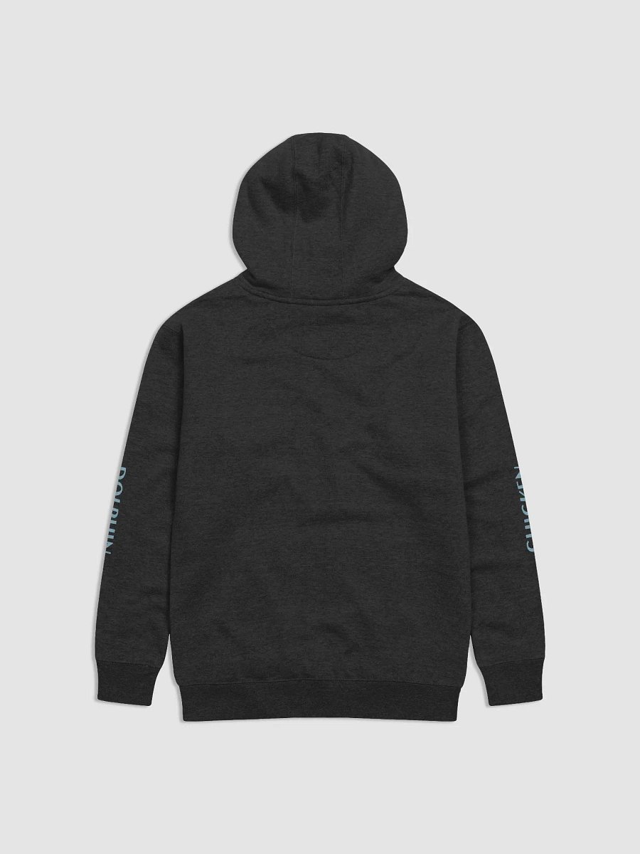 Priz DC Hoodie product image (2)