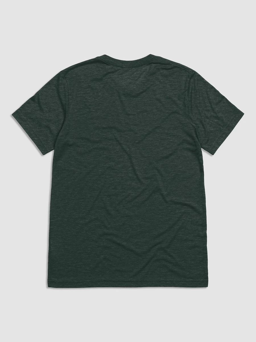 The Stairs in the Woods Tagline Men's Cut Tri-Blend Tee product image (14)