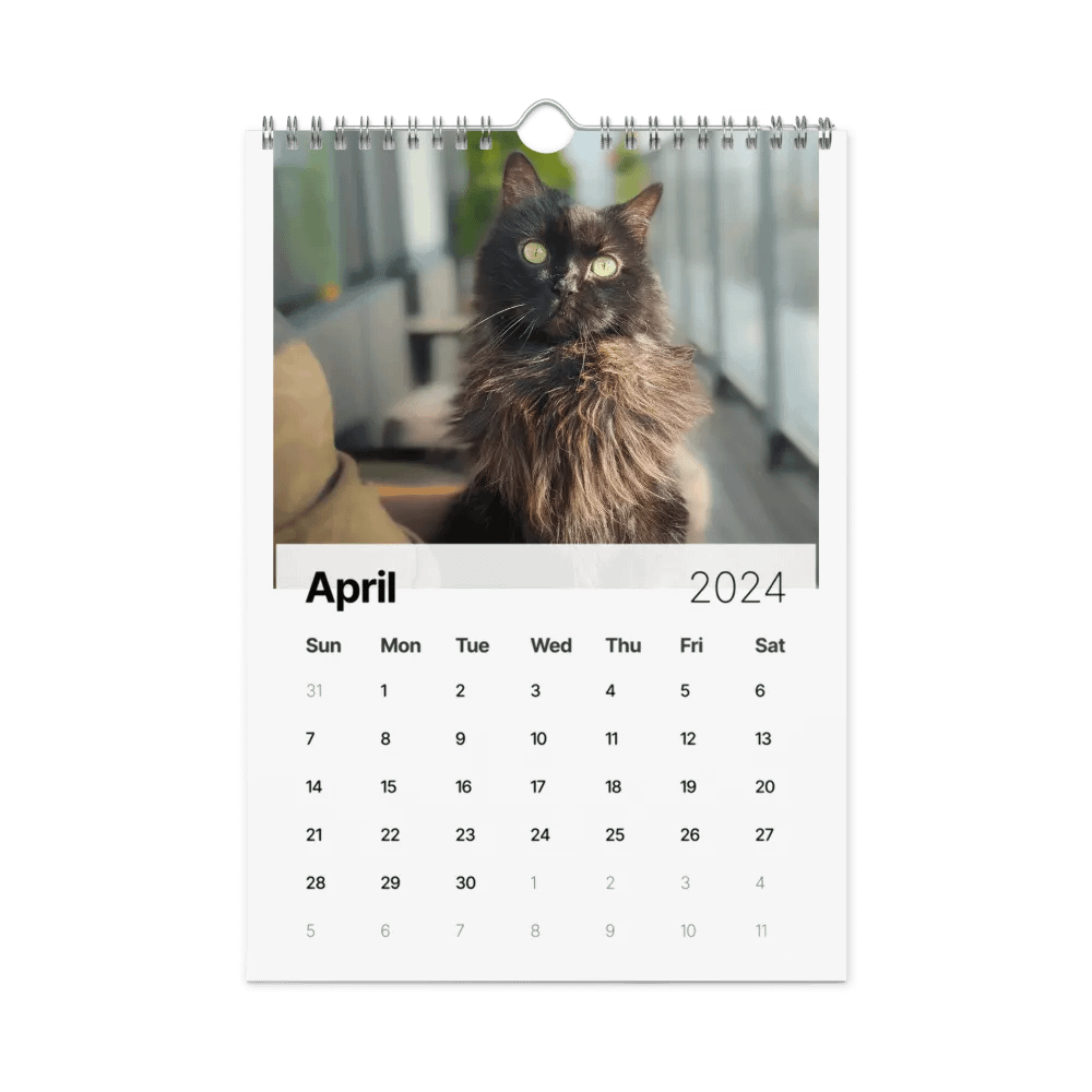 The 2024 ShoKo Cat Calendar product image (1)