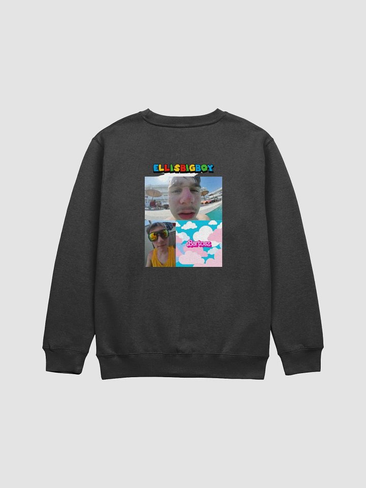 SWEATSHIRT product image (2)