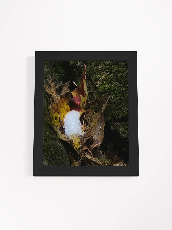 Snow in the Leaf High Quality Matte Poster product image (1)
