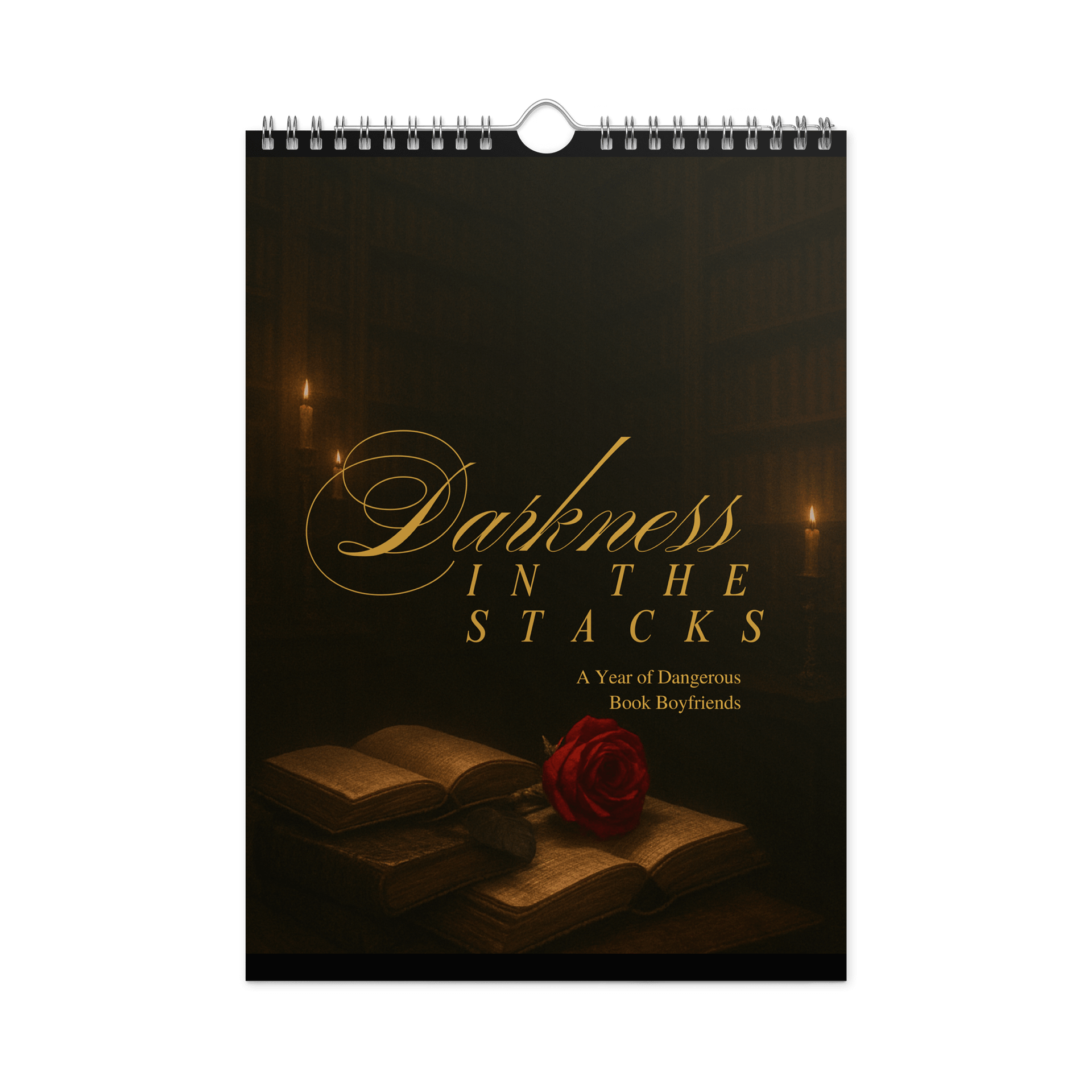 Darkness in the Stacks: A Year of Dangerous Book Boyfriends 2026 (Option 2) product image (1)