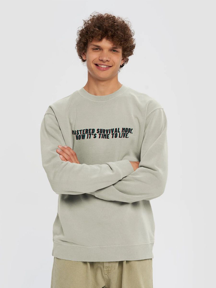 Survival Mode Sweatshirt product image (4)