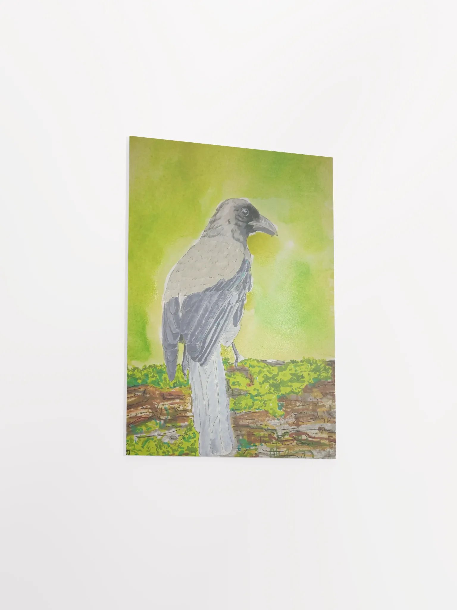 Corvid Series [05] Grey Treepie poster print product image (3)