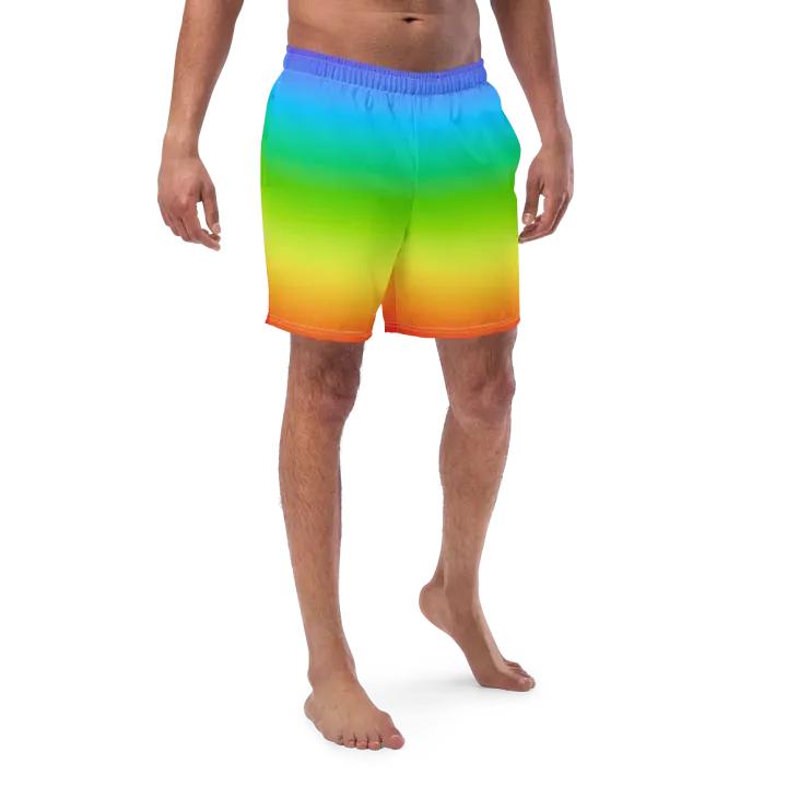 Rainbow Swim Trunks product image (1)
