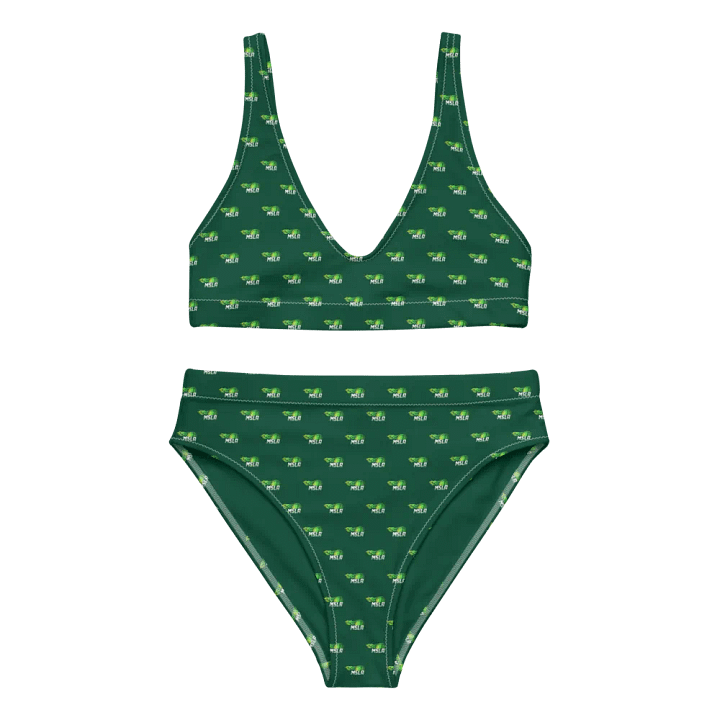 MSLA Green High Waisted Bikini product image (2)