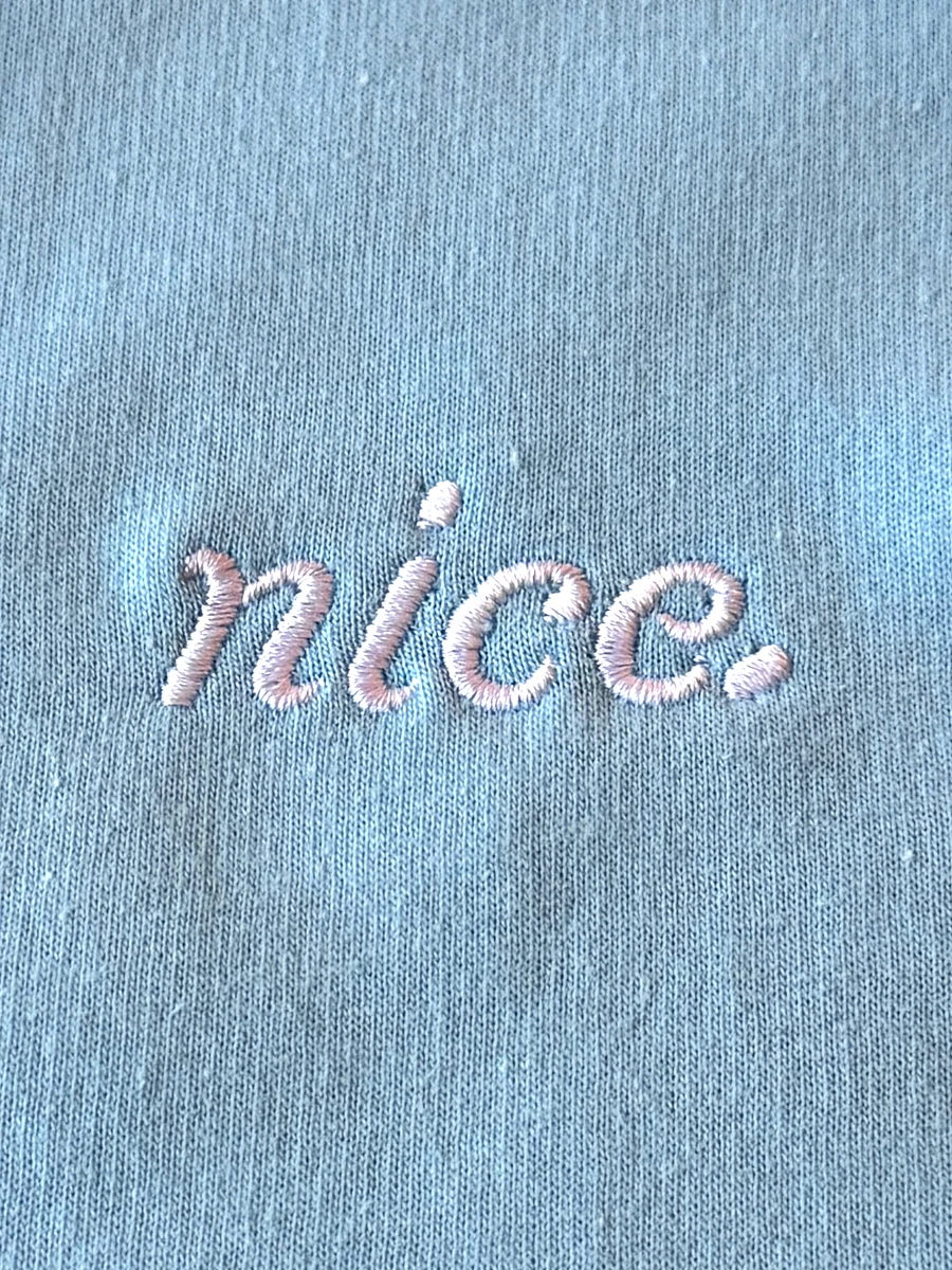 Nice. Originals Embroidered Hoodie (Sky Blue) product image (4)