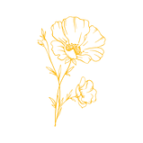 merigoldesigns