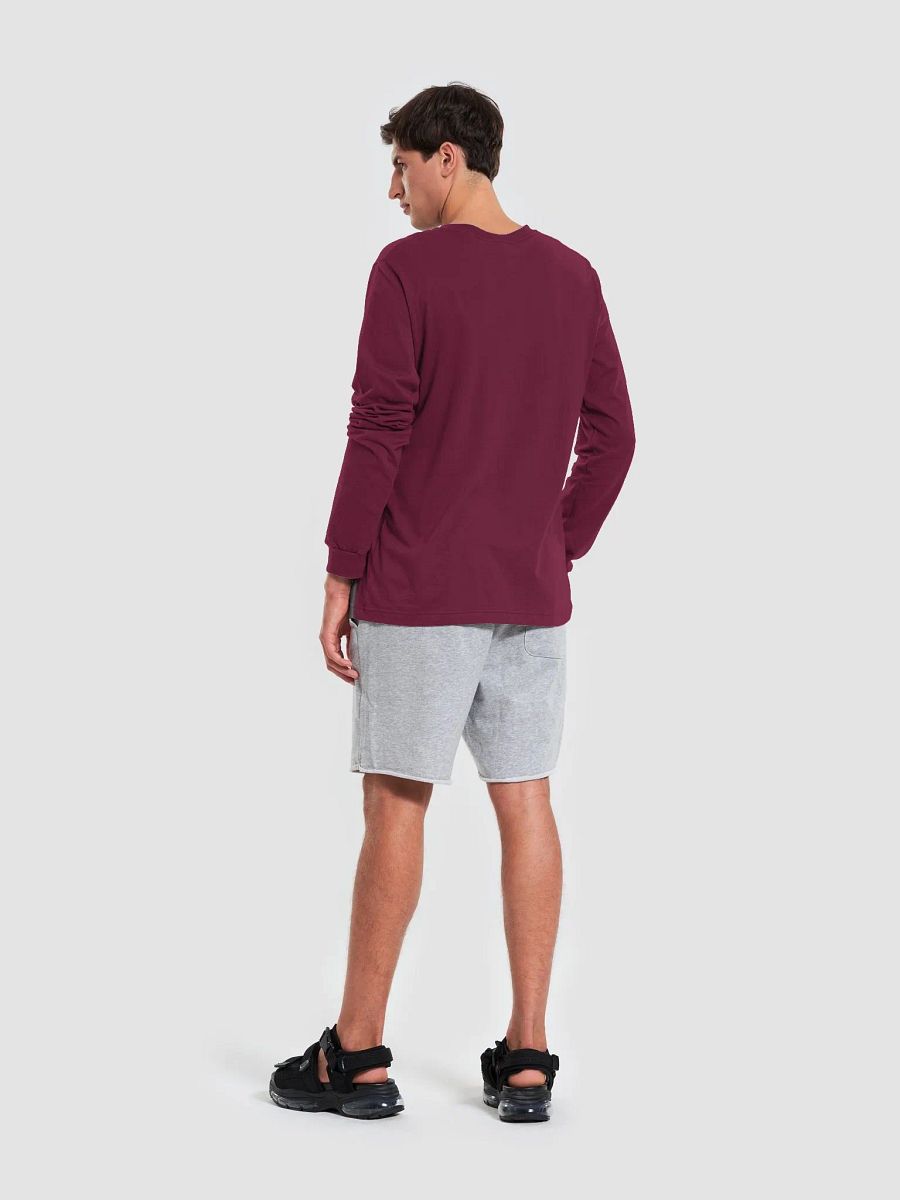 Prideful Terra Longsleeve Tee (Light Logo) product image (39)