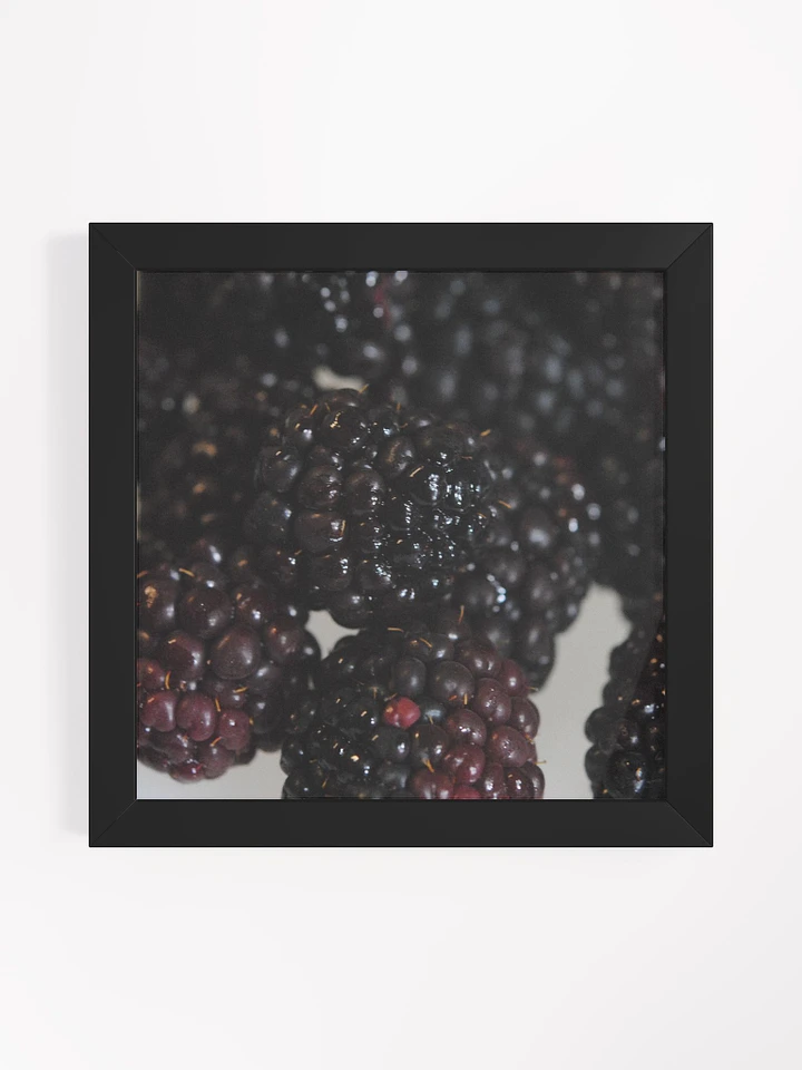 Blackberries Framed Poster product image (15)