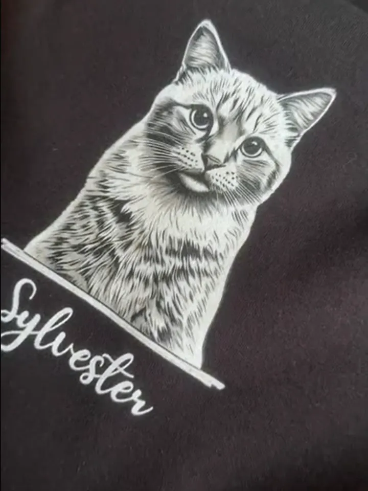 SYLVESTER 💙 / PRINTED HOODIE product image (2)
