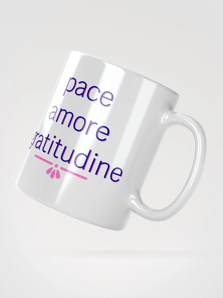 Pace Amore Gratitudine Navy and Pink Ceramic Mug product image (3)