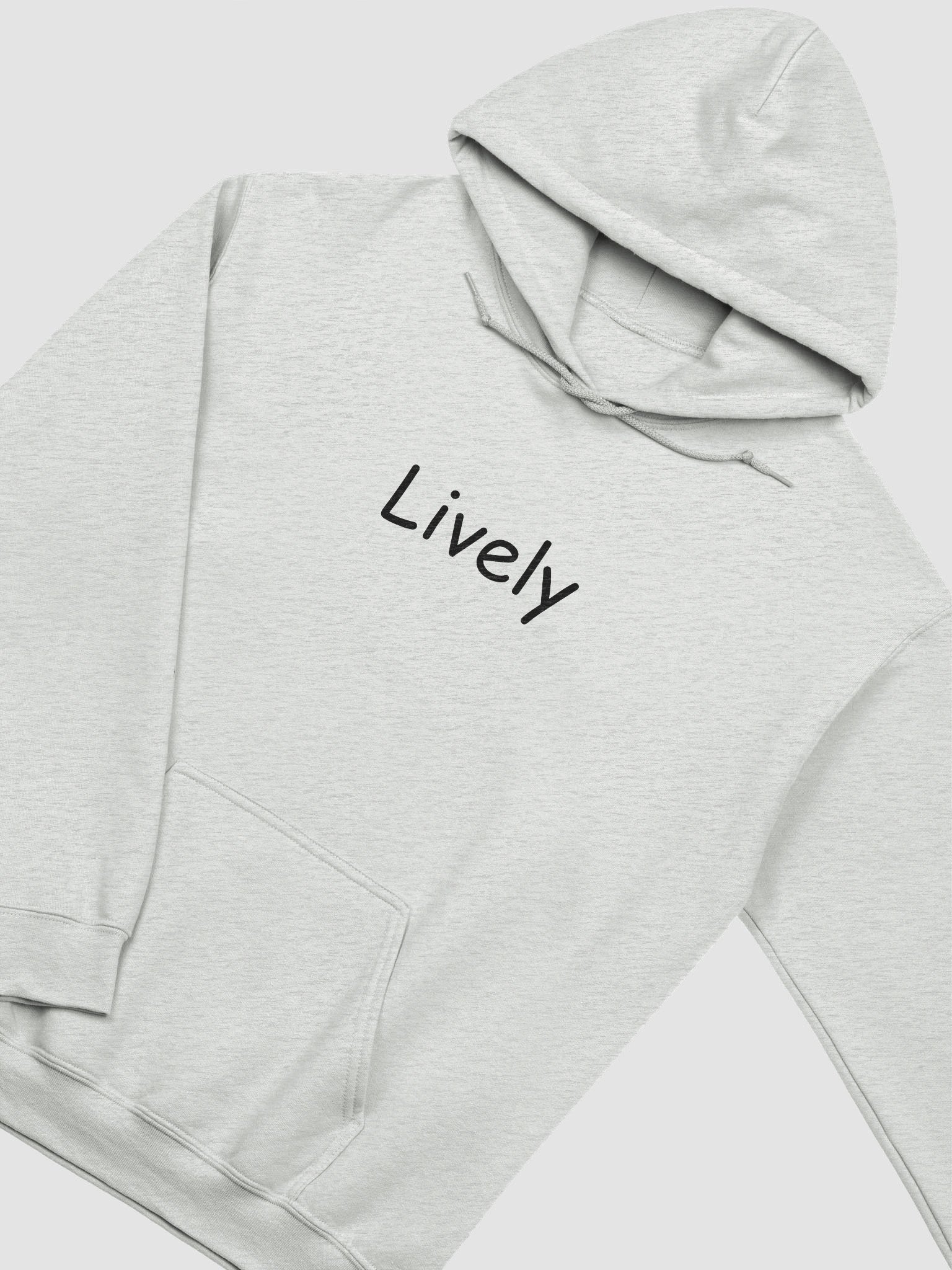 “Lively” My Vibe Streetwear Hoodie product image (3)
