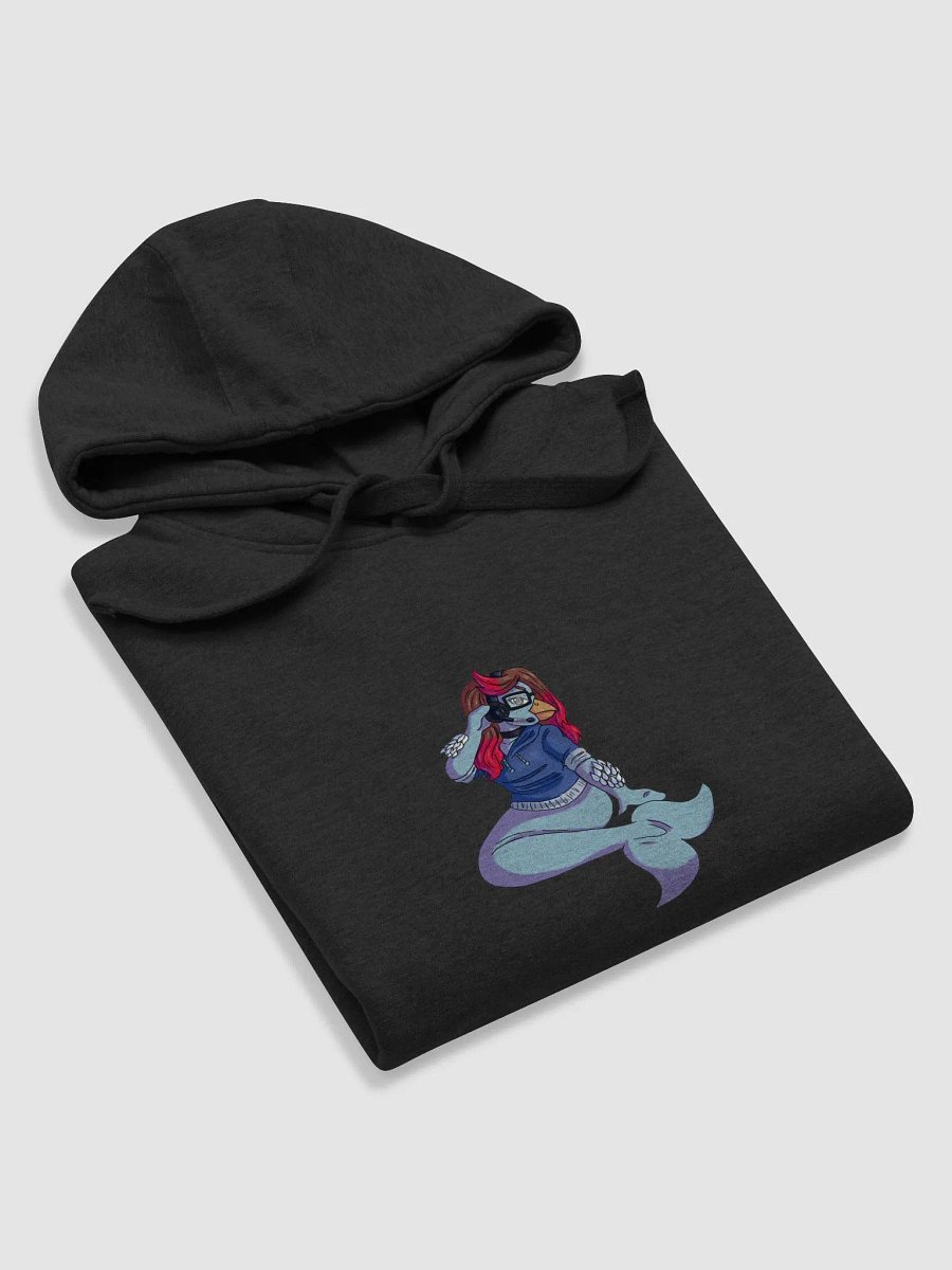 Priz DC Hoodie product image (5)