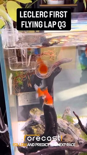 Leclerc spin in Q3

Follow and predict the next race

#f1reel #f1meme #f1memes #f1reels #memef1